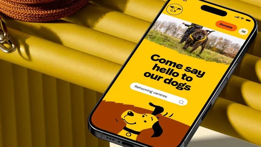Dogs Trust promotional image with mobile phone