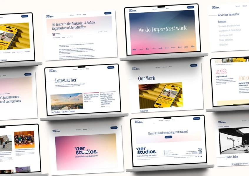 AER WEB SCREENS GRID5
