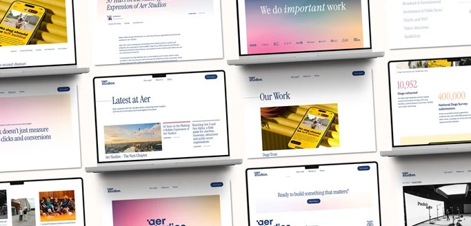 AER WEB SCREENS GRID5