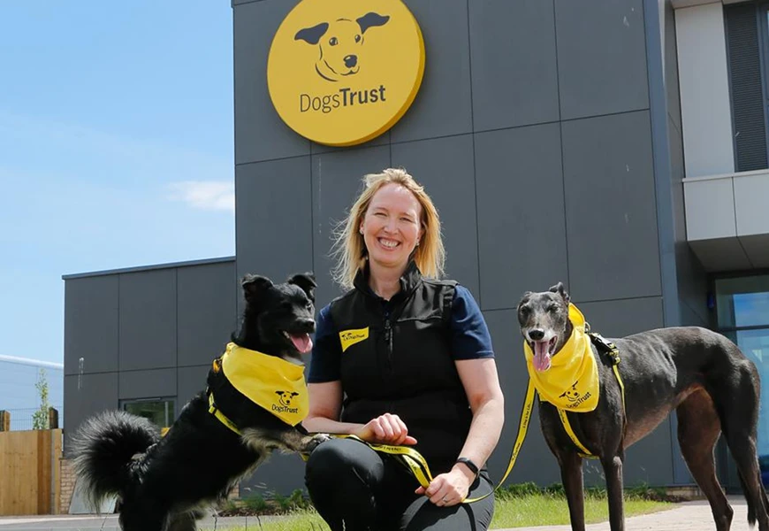 Two happy dogs with a member of the Dogs trust team at a rehoming centre