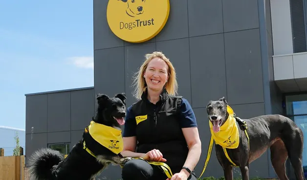 Two happy dogs with a member of the Dogs trust team at a rehoming centre